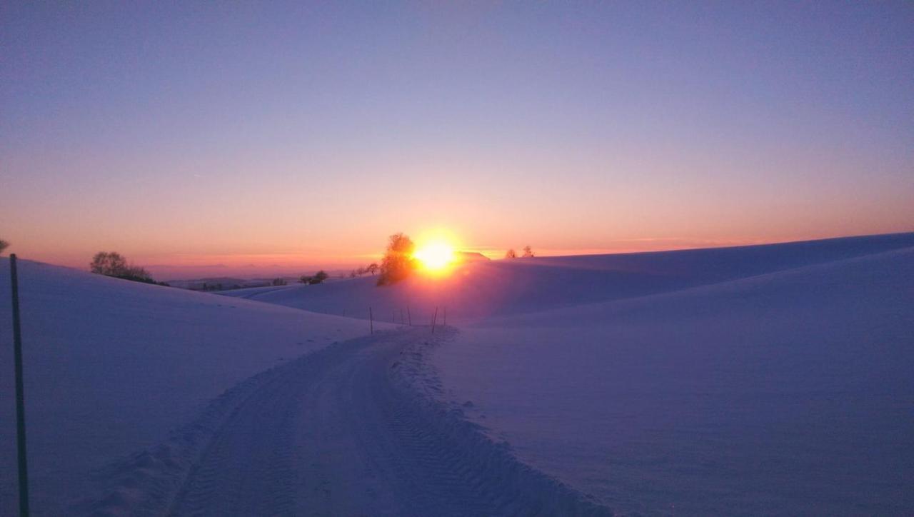 Naturoase Muehlviertel Sankt Johann am Wimberg ภายนอก รูปภาพ