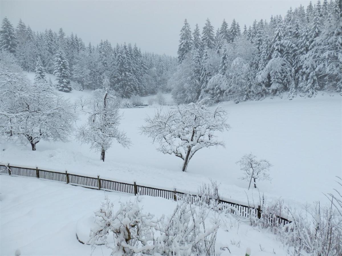 Naturoase Muehlviertel Sankt Johann am Wimberg ภายนอก รูปภาพ