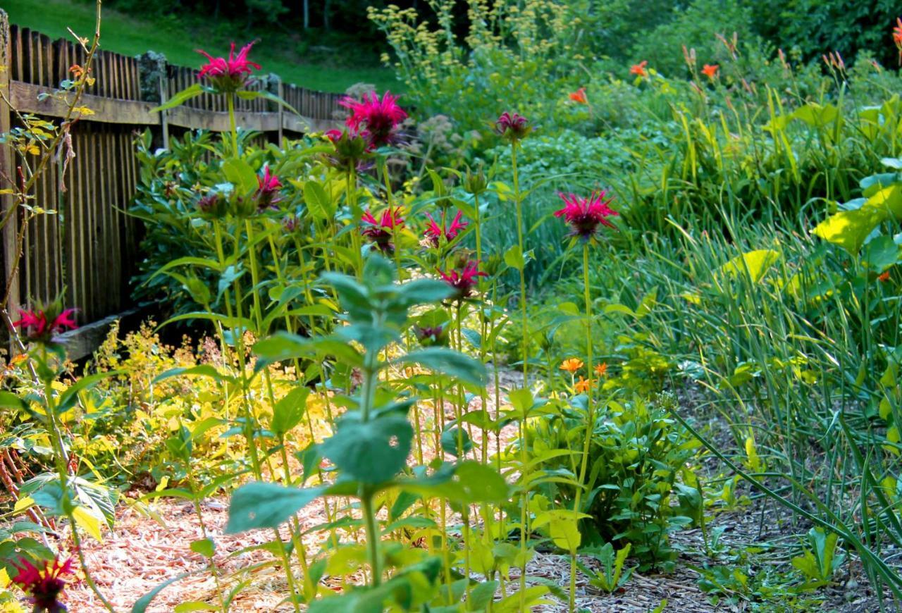 Naturoase Muehlviertel Sankt Johann am Wimberg ภายนอก รูปภาพ